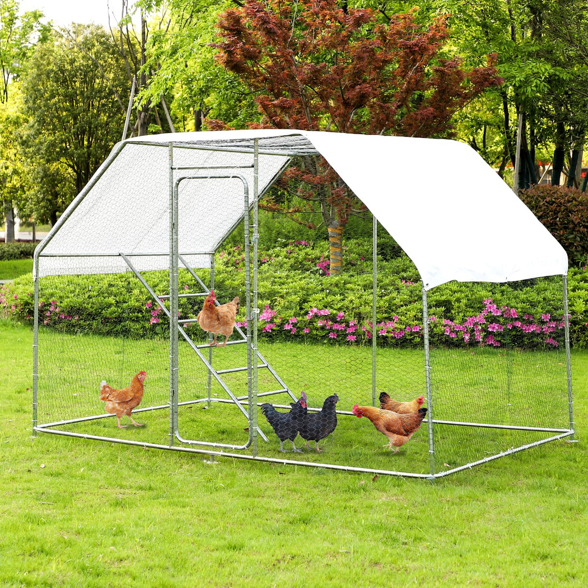 Outdoor animal pen with predator-proof mesh for chickens, ducks, and rabbits