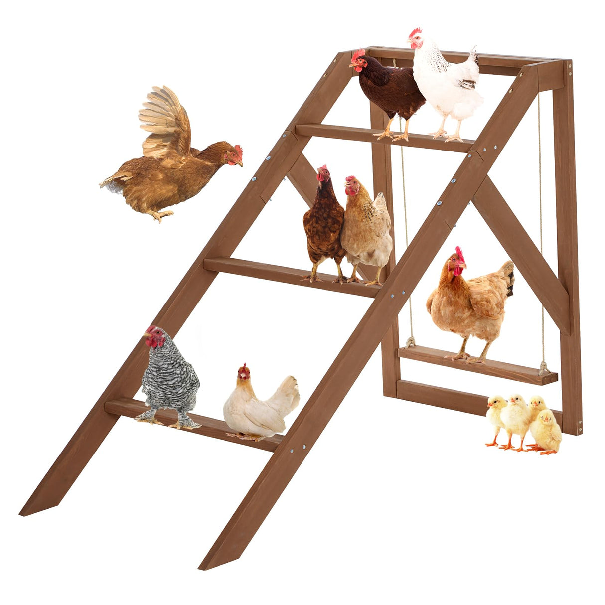 RoostJoy 2-tier wooden chicken perch with swing