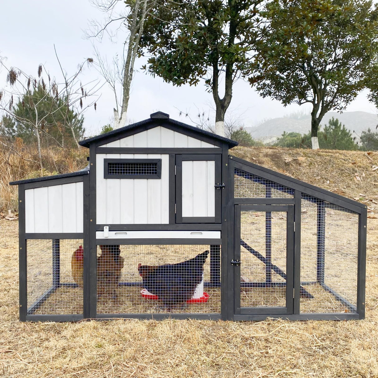 RustiRoost wooden chicken coop with waterproof roof and nesting box