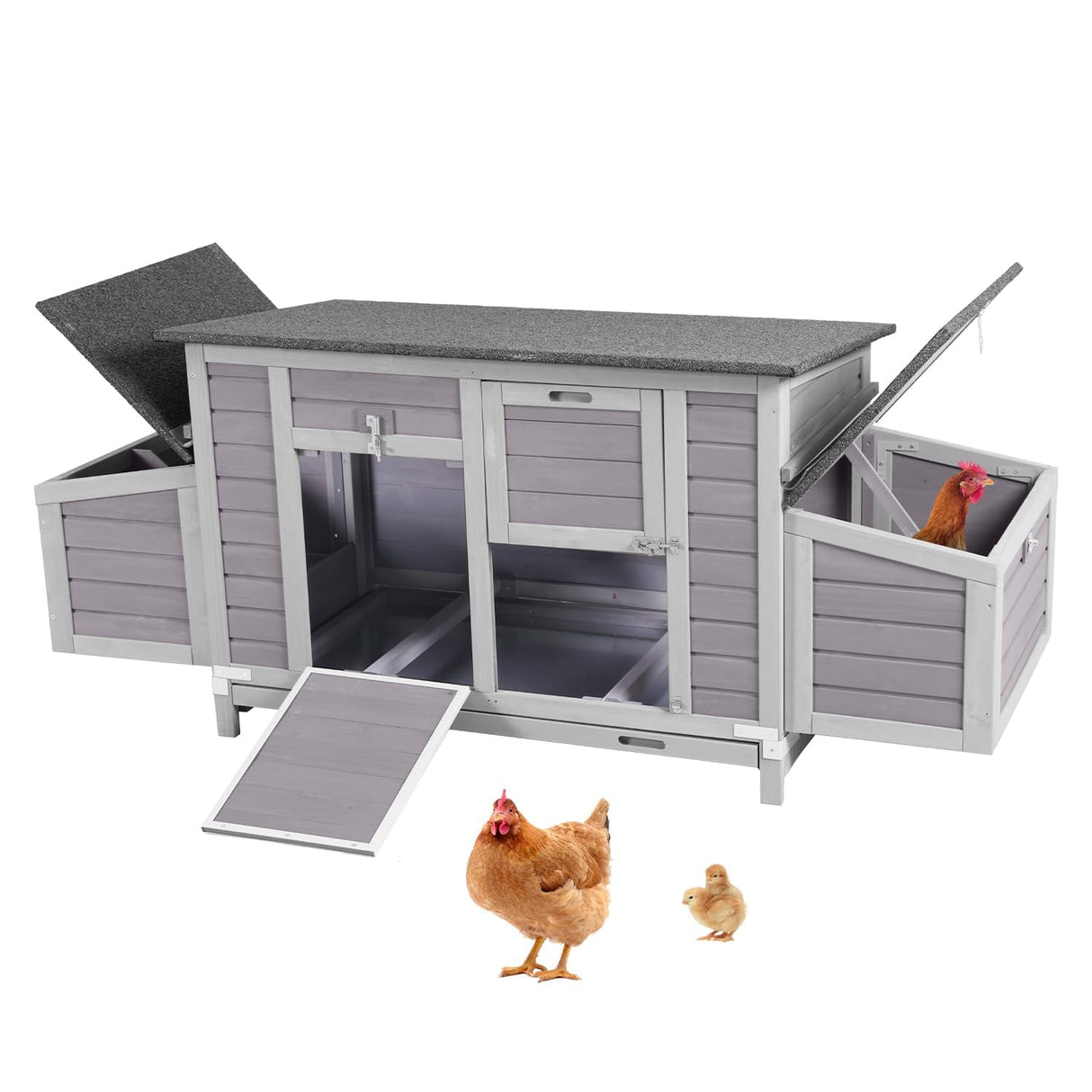 SteelNest 67-inch fir wood chicken coop with stainless steel parts and nesting box