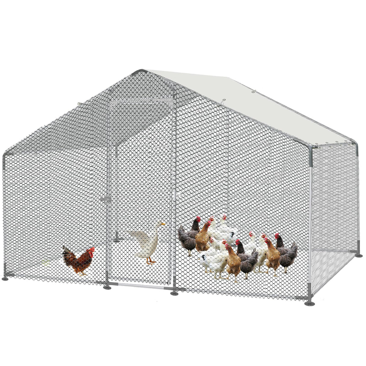 SteelSafe XL walk-in metal chicken run with full wire mesh and tarp cover