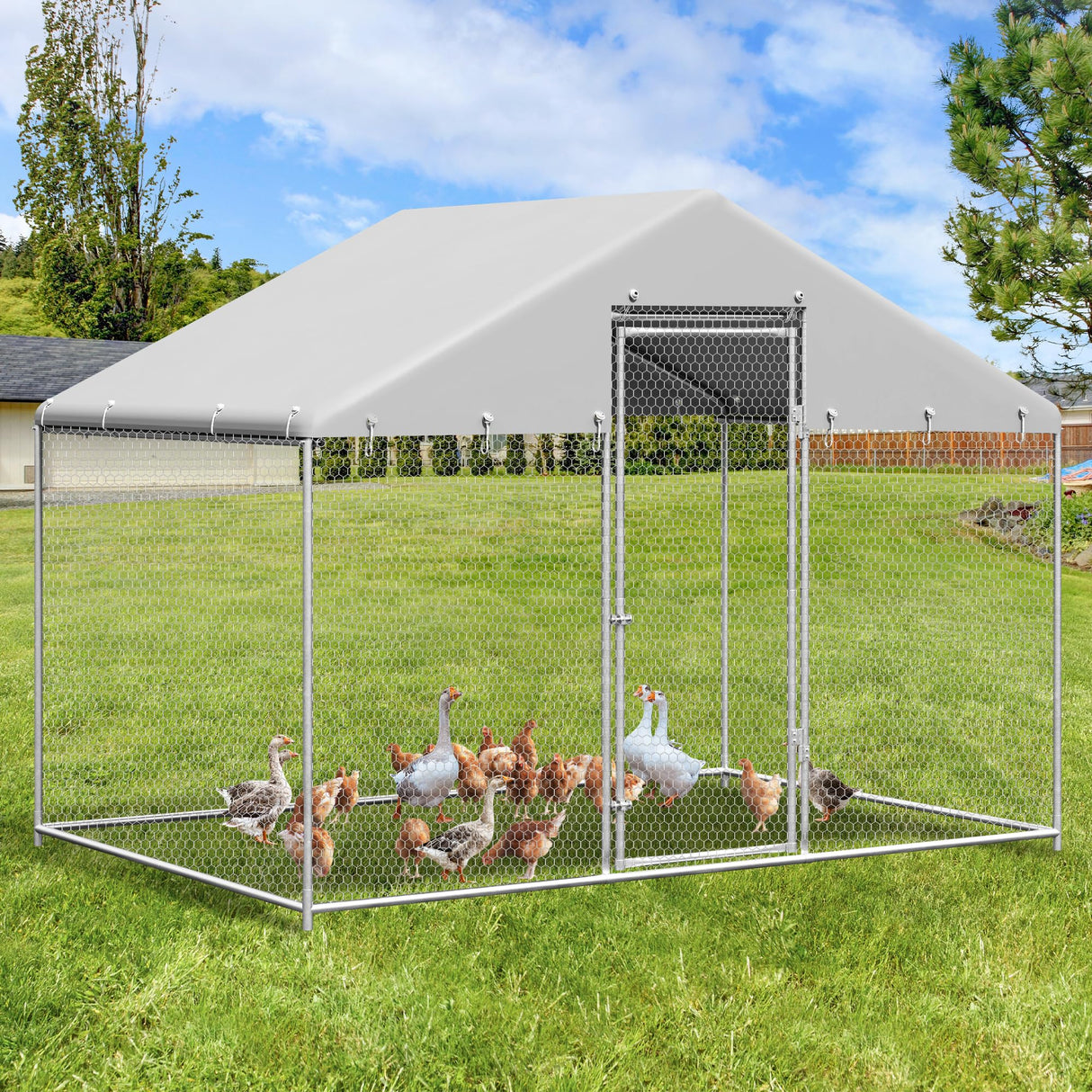 Walk-in poultry cage with hexagonal mesh and waterproof PE cover