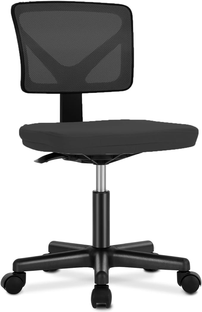 Desk Chair Ergonomic Office Chair
