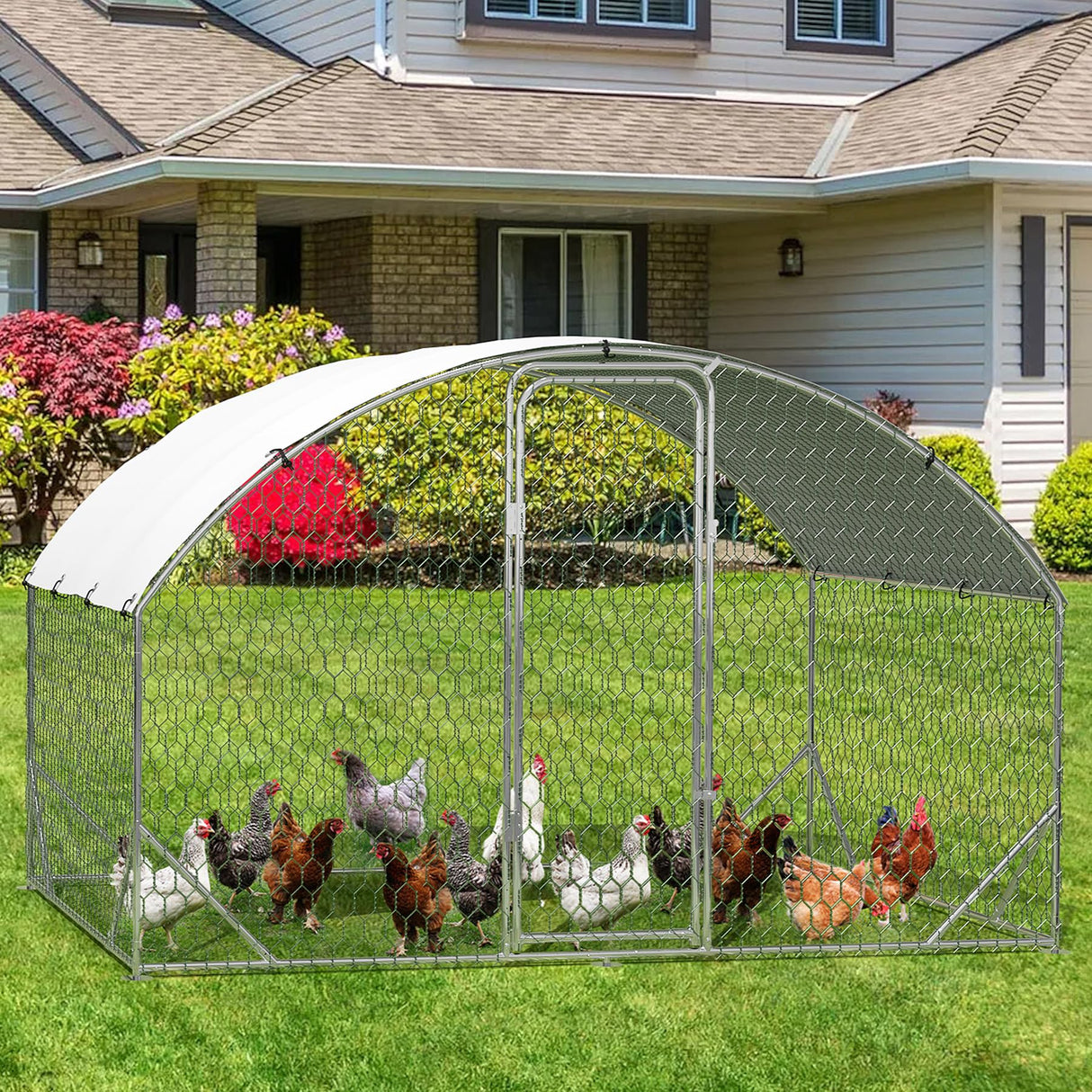 dome roof outdoor poultry cage with walk-in access and rust-resistant frame