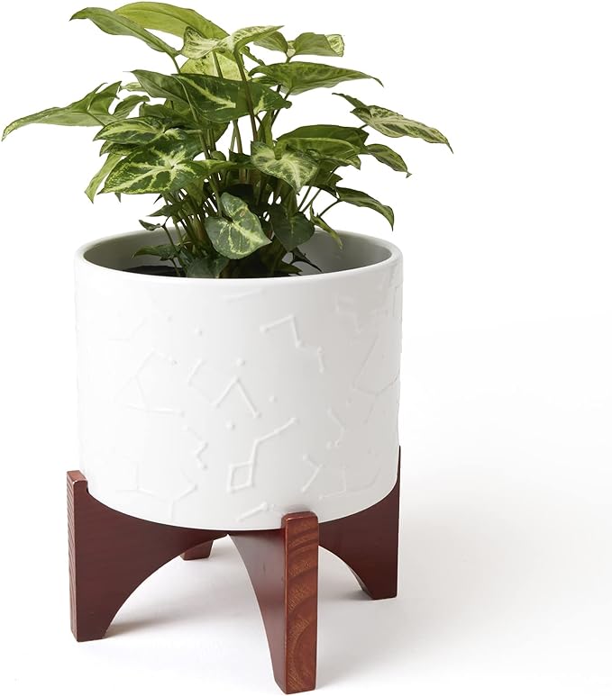8-Inch Ceramic Planter with Wooden Stand