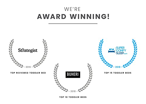 Canton Toddler Bed, Greenguard Gold Certified, Grey