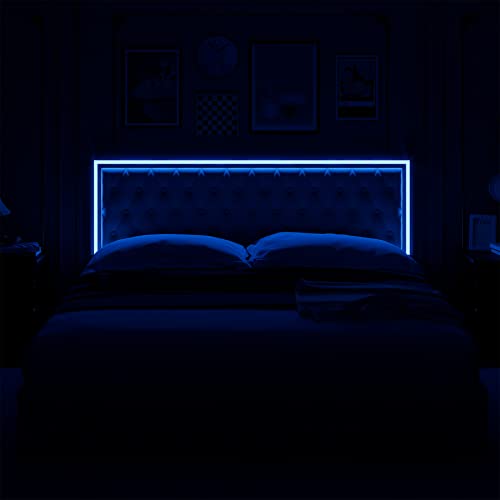 Queen Upholstered LED Bed Frame with 4 Drawers, Velvet Platform Storage Bed