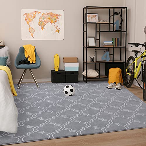 Shag Geometric Modern Area Rug