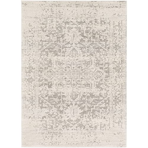 Janine Vintage Medallion Area Rug
