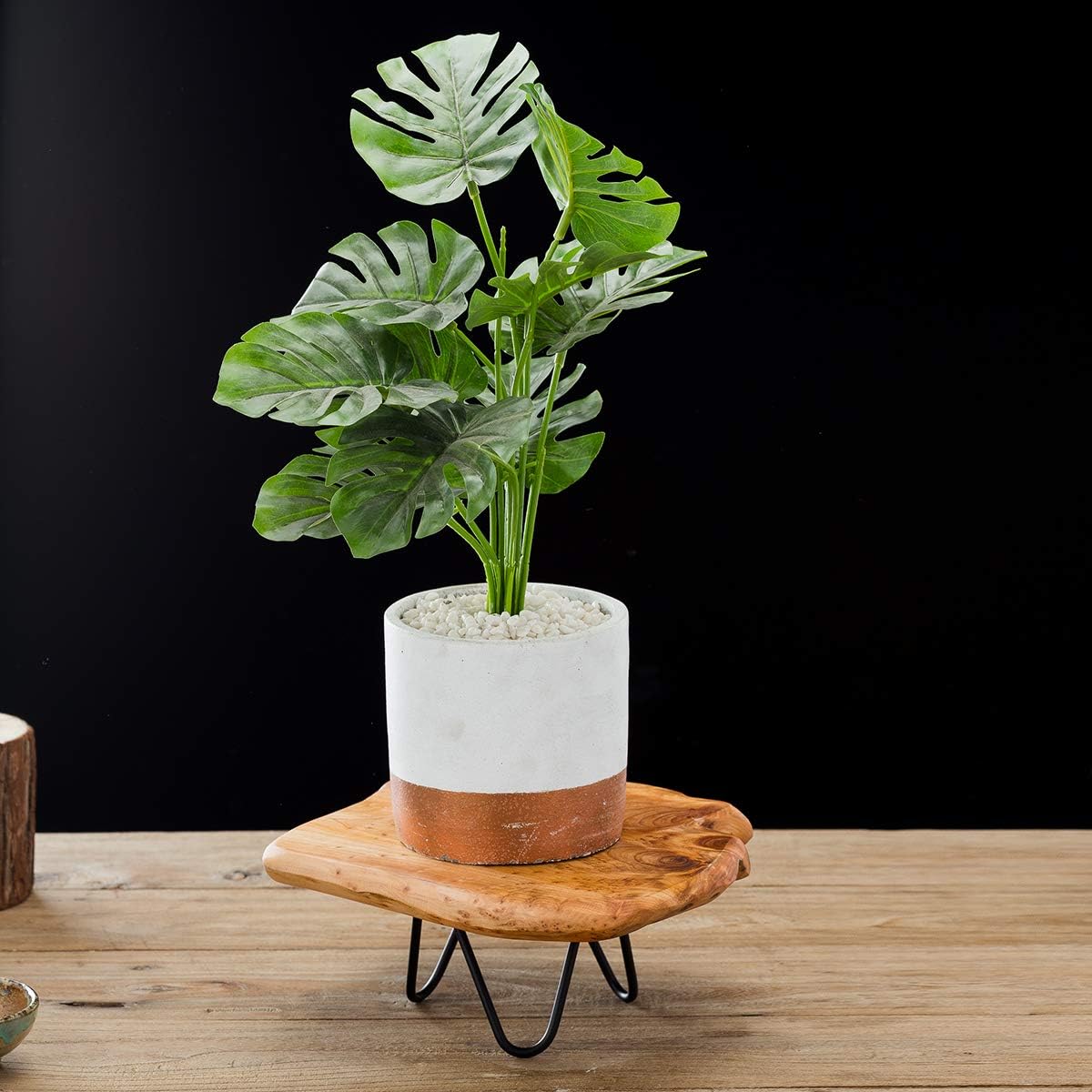 Natural Edge Wooden Stand with Legs