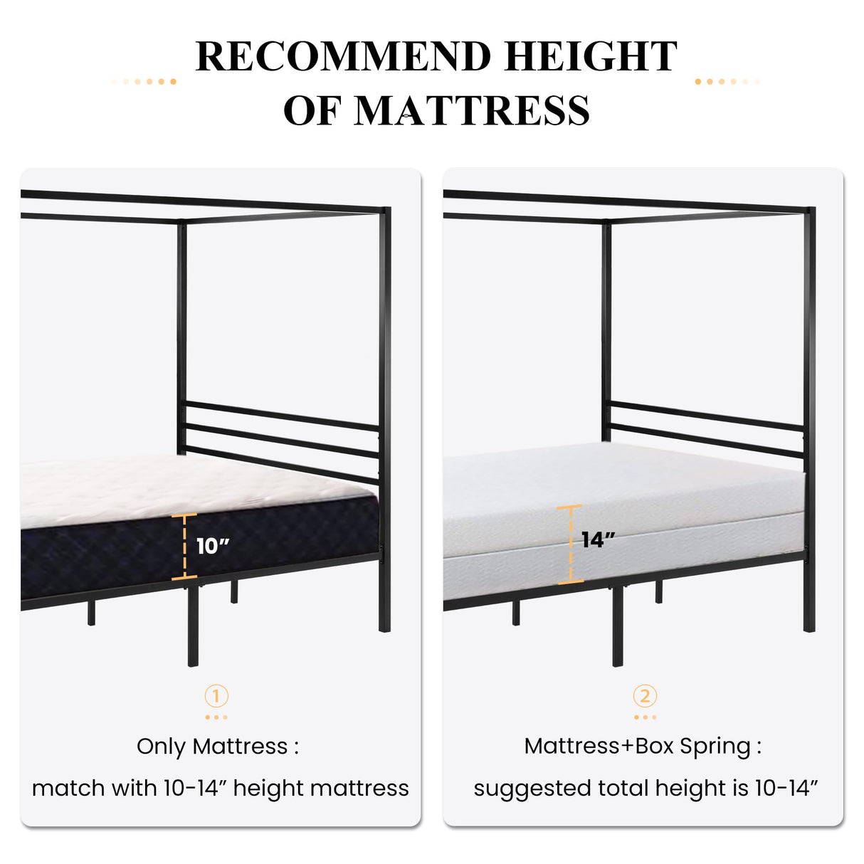 Metal Canopy Bed Frame Queen Size/Mattress Foundation with Metal Slats