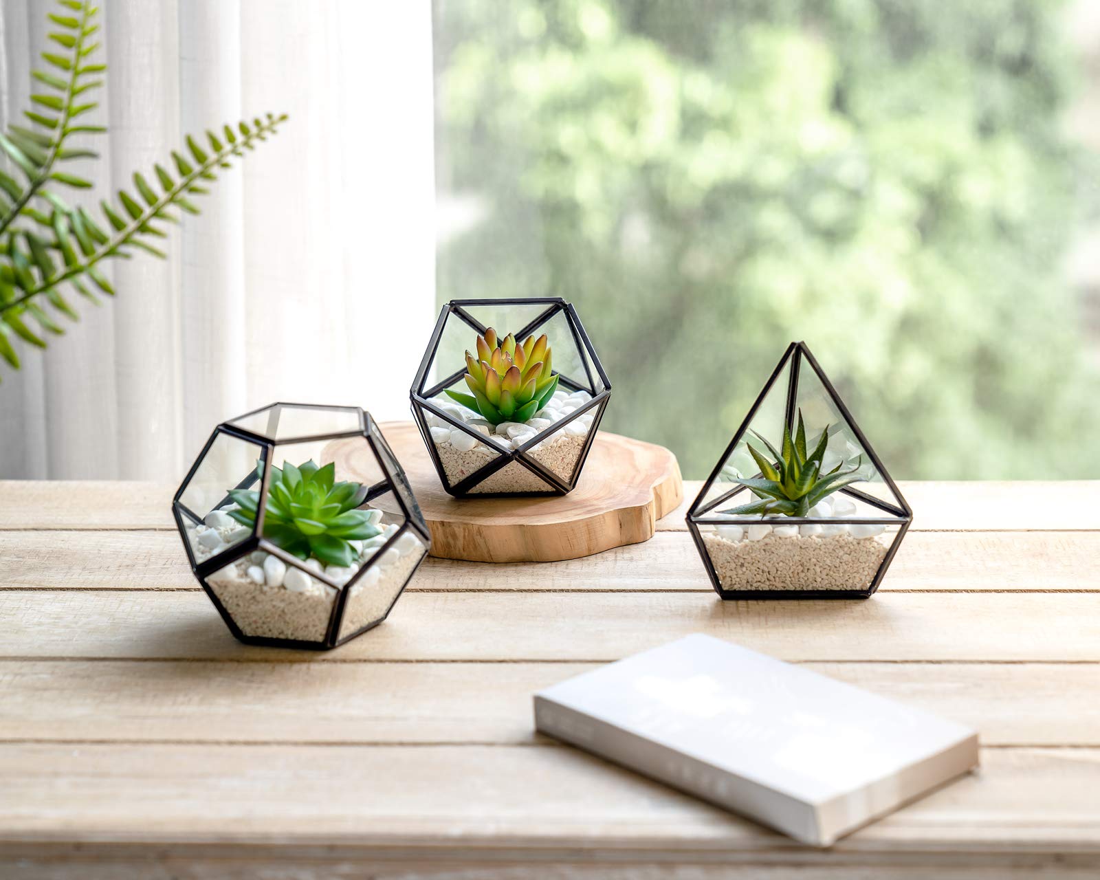 Artificial Succulent in 3 Pack Mini Glass Geometric Terrarium