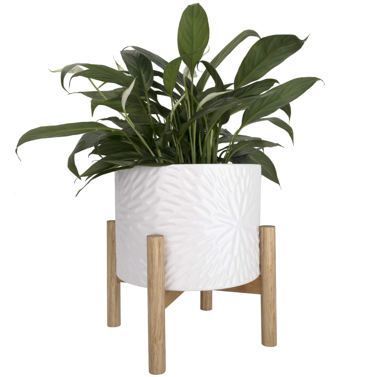 8-Inch Ceramic Planter with Wooden Stand