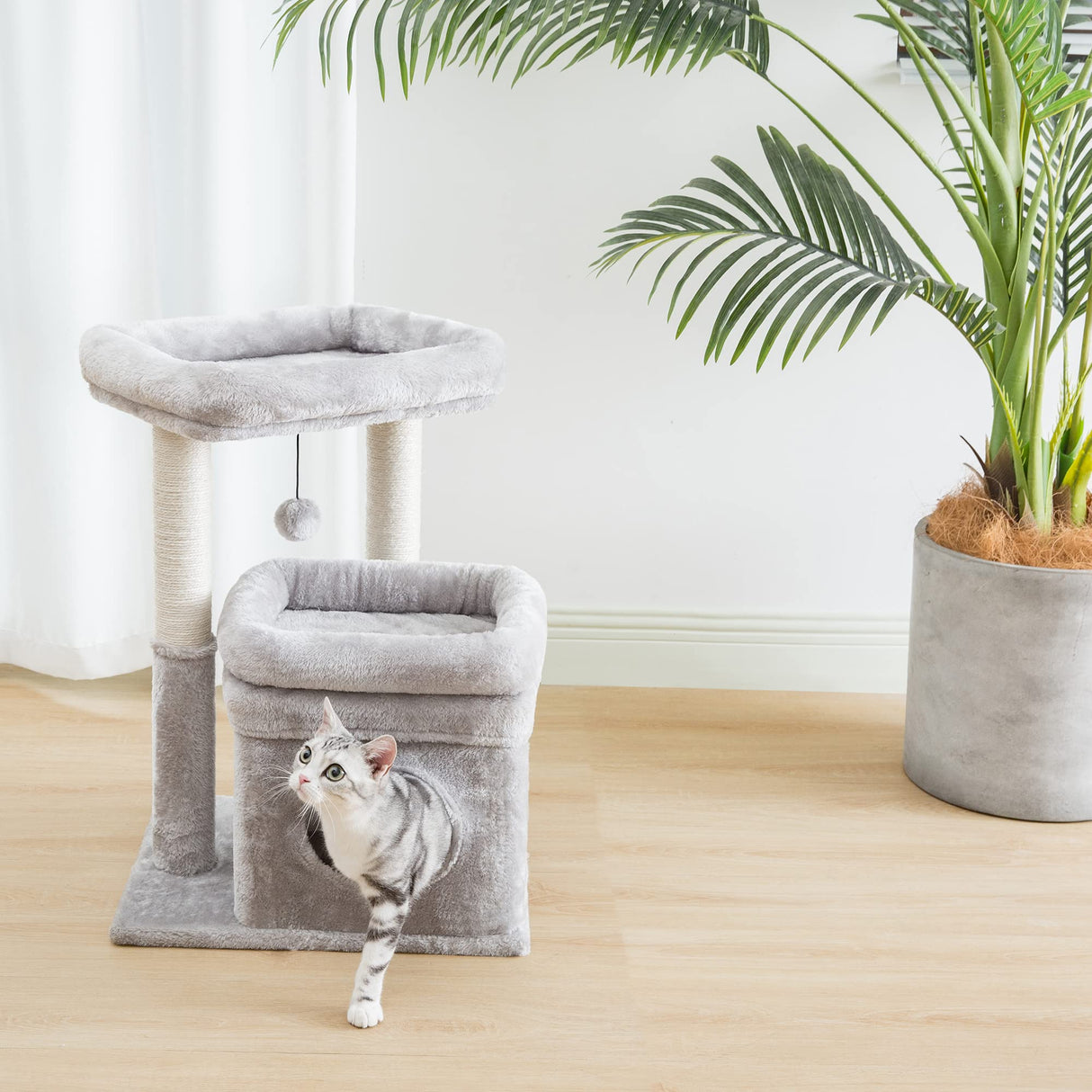 Cat Tree, Small Cat Tower with Dangling Ball
