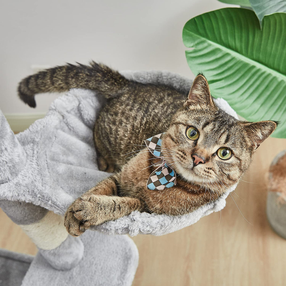 Kilodor 49.2 Inches Multi-Level Cat Tree Condo,Cat Tower