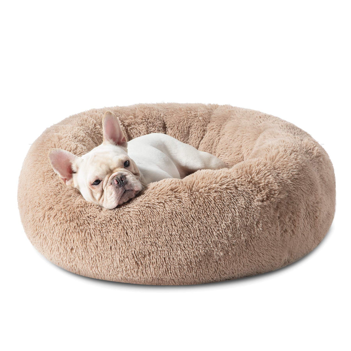 Calming Pet Bed for Medium Dogs