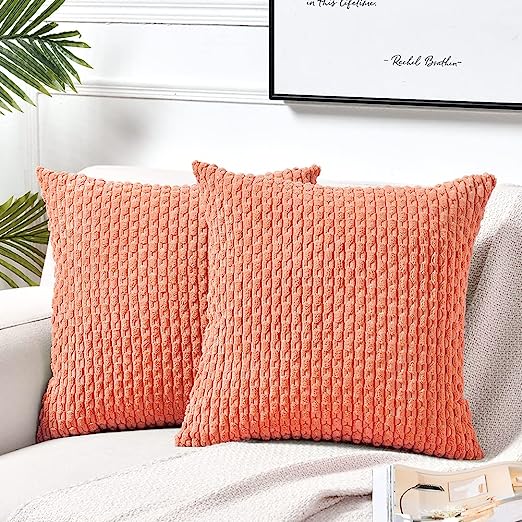 2 Packs Boho Cream Decorative Throw Pillow