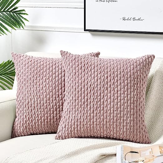 2 Packs Boho Cream Decorative Throw Pillow
