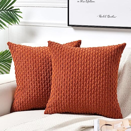 2 Packs Boho Cream Decorative Throw Pillow