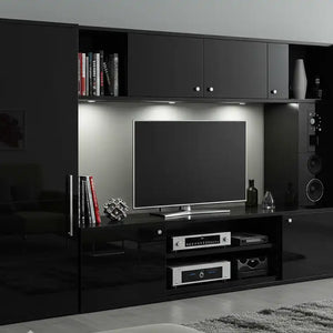 Audio Cabinet | Video Cabinet