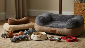 Dog Supplies
