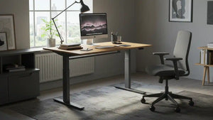 Electric Standing Desk