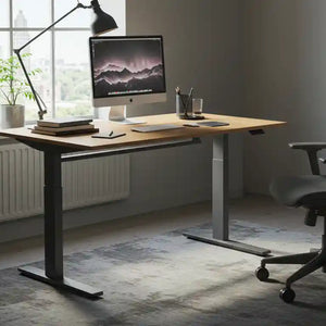 Electric Standing Desk