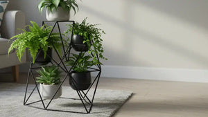 Plant Stands
