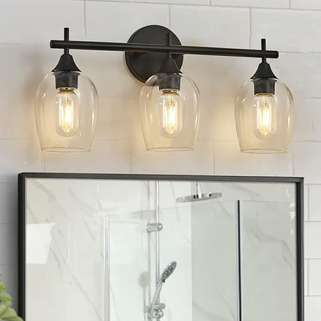 Black Vanity Lights for Bathroom,2-Ligh Bathroom Light Glass Shade