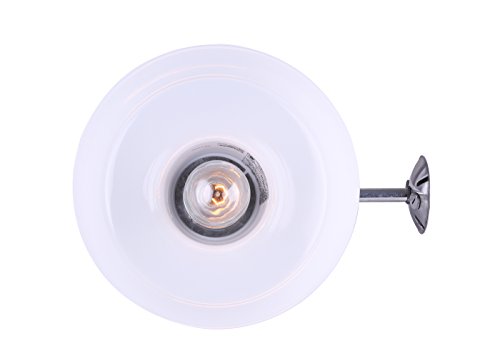 All Weather Outdoor Wall & Ceiling Light - Grey Finish with Clear Glass Globe
