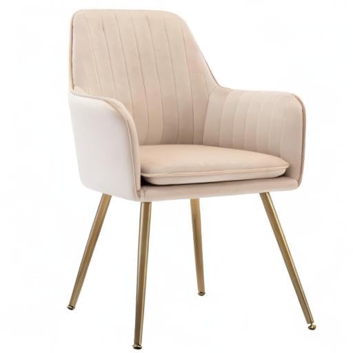 Velvet Dinning Chair Set of 4 Mid-Back Accent Chair Modern Leisure Armchair with Gold