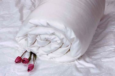 Twin 68"x86" 100% Long Strand Mulberry Silk Breathable Winter All Weather Blanket Comforter