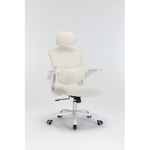 Mesh Office Chair with 3D Adjustable Lumbar Support, High Back Desk Chair with Flip-up