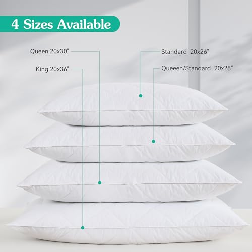 White Goose Feather Bed Pillows Queen/Standard Size Set of 2- Soft 600 Thread Count 100% Cotton