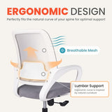 Office Chair Ergonomic Desk Chair Mesh Computer Chair Lumbar Support Modern