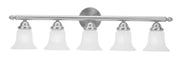 Lighting 1065-91 Neptune 5-Light Bath Light, Brushed Nickel, 32 x 6.75 x 8