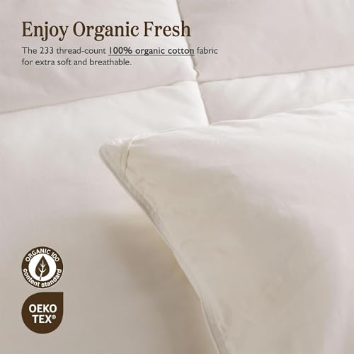 Heavyweight Organic Down Feather Fibers Comforter Oversized King for Winter