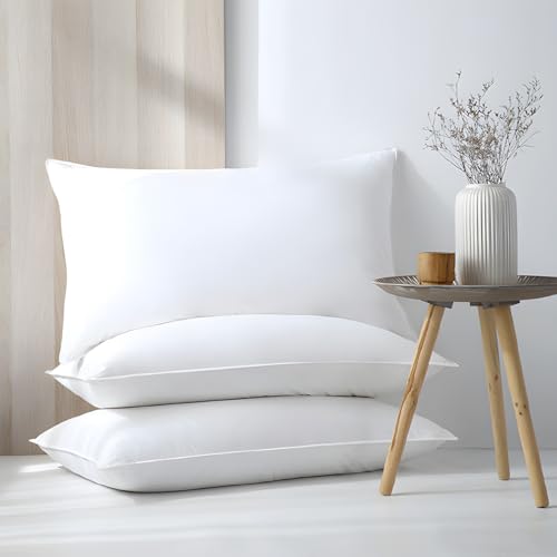 Soft Goose Feather Down Pillows Queen Size Set Of 2