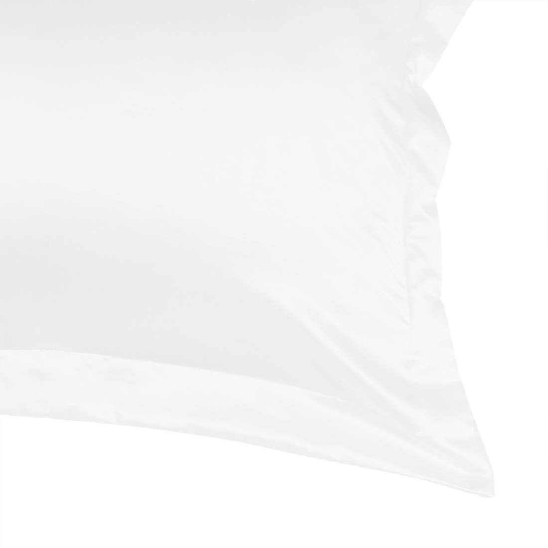 2 Pack Satin Pillowcase for Hair and Skin, Euro Sham Pillow