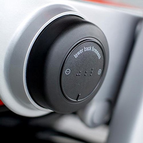 Leap Plus Desk Chair in Buzz2 Ivy Green Fabric - 500 lb Weight Capacity - Highly Adjust