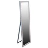 Basics DM47799 Full Length Mirror, 11" x 47", Grey