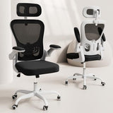 Office Chair, High Back Home Desk Chair with Adjustable Lumbar Support and Headrest