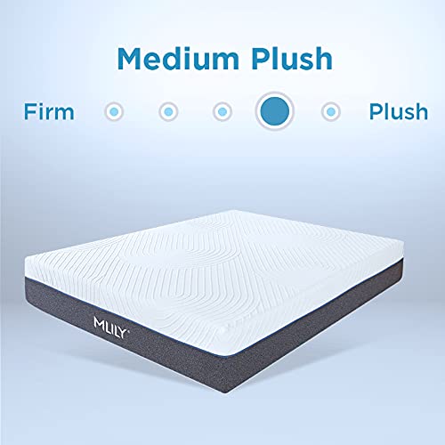 Myth Queen Memory Foam Hybrid Mattress 12.5 Inch, Gel Cooling Mattress Bed in a Box