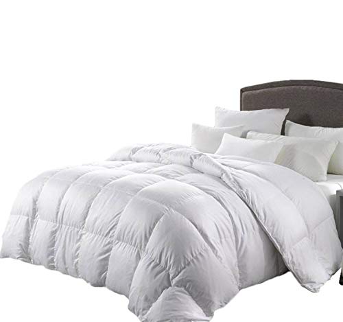 Twin/Twin XL Size 1500 Thread Count Goose Down Alternative Comforter, 100 Percent Egyptian Cotton, 1500 TC, 750FP, 50Oz, Solid White Down Alt Comforter