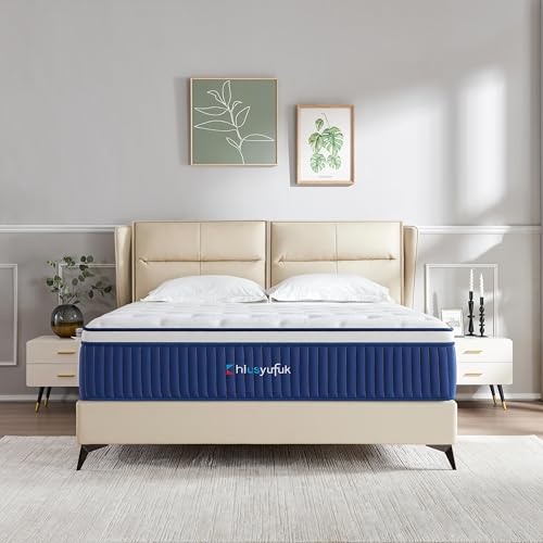 Queen Mattress,10 Inch Queen Size Mattress in a Box,Single Bed Mattress