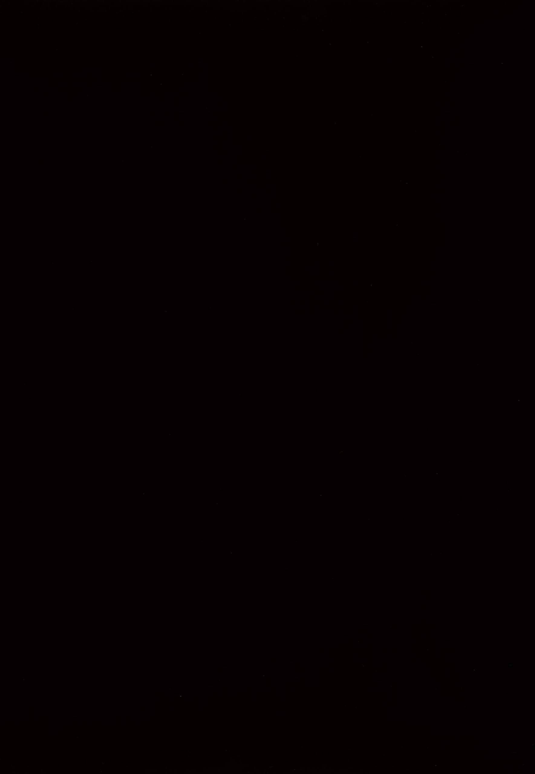 Kimonte Rectangular Dining Table - Contemporary Black Wood