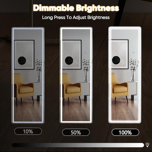 LED Full Length Mirror 20×63 with 3 Color Lights