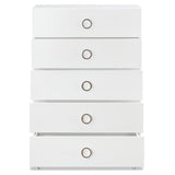 Acme Elms Wooden Rectangular Chest with 5 Storage Drawers in White and Chrome