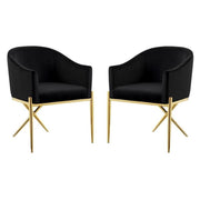 2 Piece Velvet Contemporary Dining Room Arm Chair Set with Gold Metal Legs