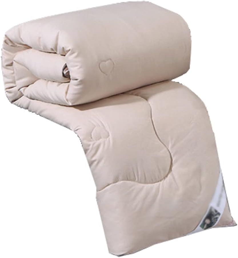 Silk Quilts Warm Winter Duvet Insert Quilted Bed Comforter King Queen Full Twin Size